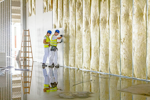 Best Eco-Friendly Insulation in Priest River, ID